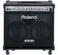 Roland D-Bass 210